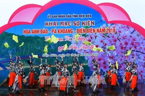 Khai mạc sự kiện Hoa Anh đào – Pá Khoang – Điện Biên năm 2018