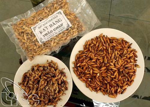 Mứt hạt bàng – Quà du lịch Côn Đảo