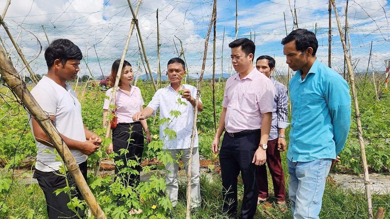 Chính quyền xã Gào, thành phố Pleiku hỗ trợ sinh kế cho hộ nghèo. Ảnh: Hoài Nam-TTXVN