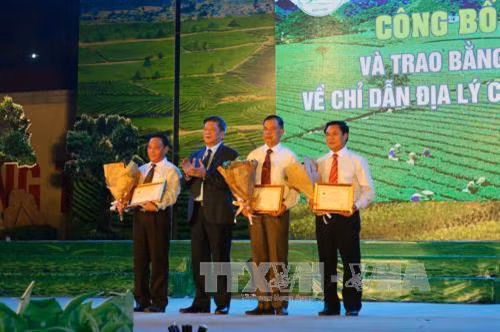 Hội trà cao nguyên Mộc Châu lần thứ 3