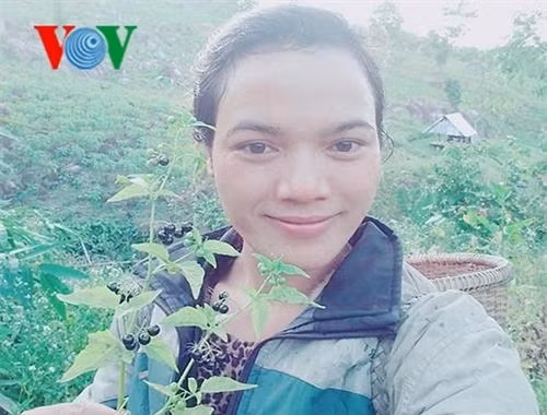 Khởi nghiệp từ cây trồng bản địa