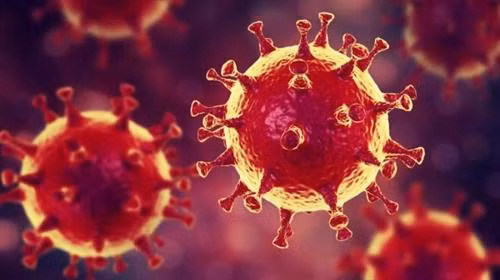 Phát hiện chủng virus mới có nguồn gốc amip