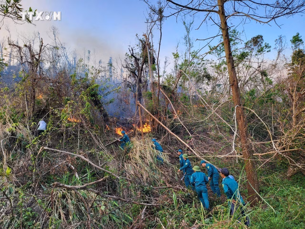 vna_potal_quang_ninh_lien_tuc_xay_ra_chay_rung_tai_huyen_van_don_sau_bao_so_3_7632986.jpg