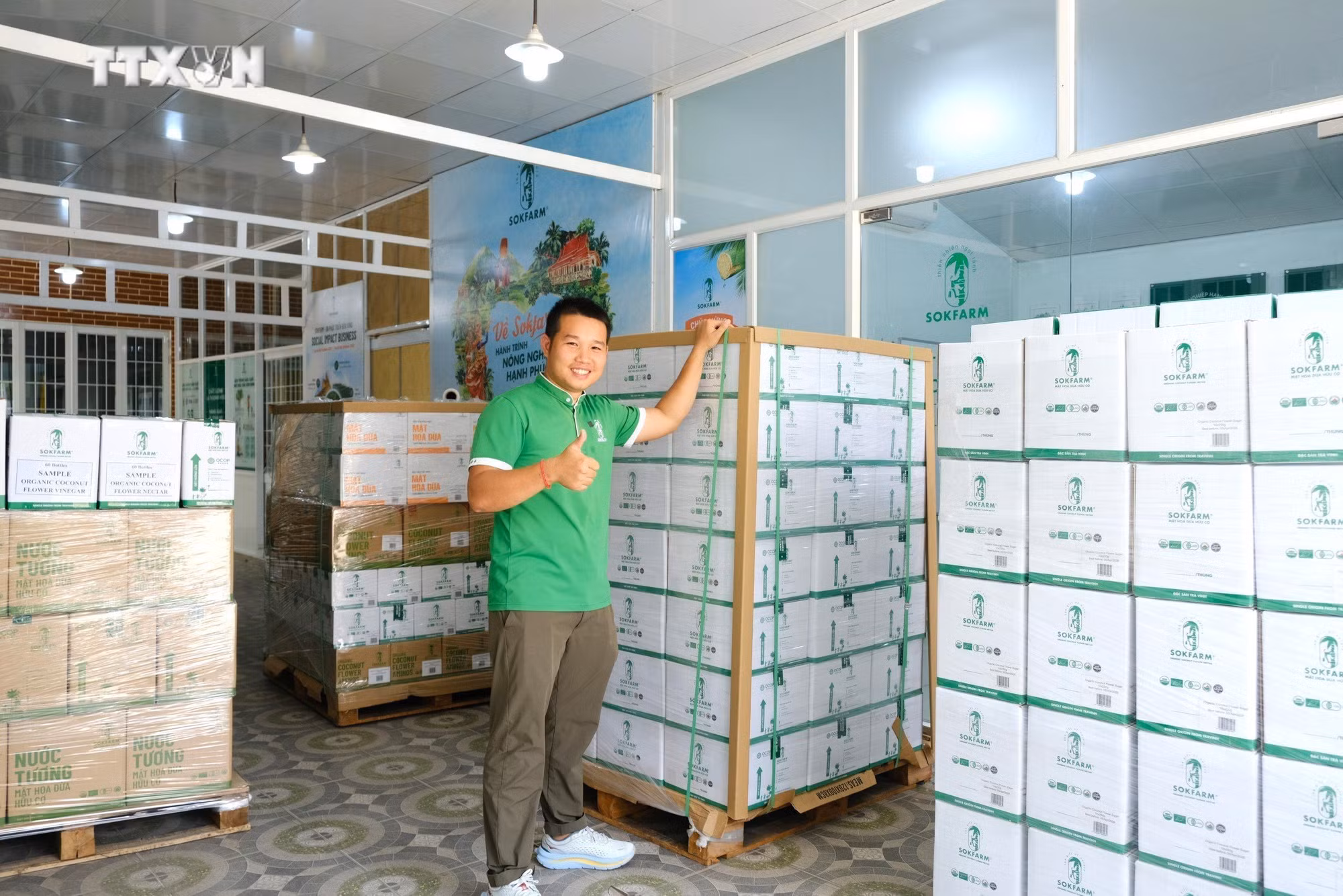 vna_potal_mat_hoa_dua_huu_co_cua_tra_vinh_lan_dau_xuat_khau_chinh_ngach_sang_uc_7324536.jpg