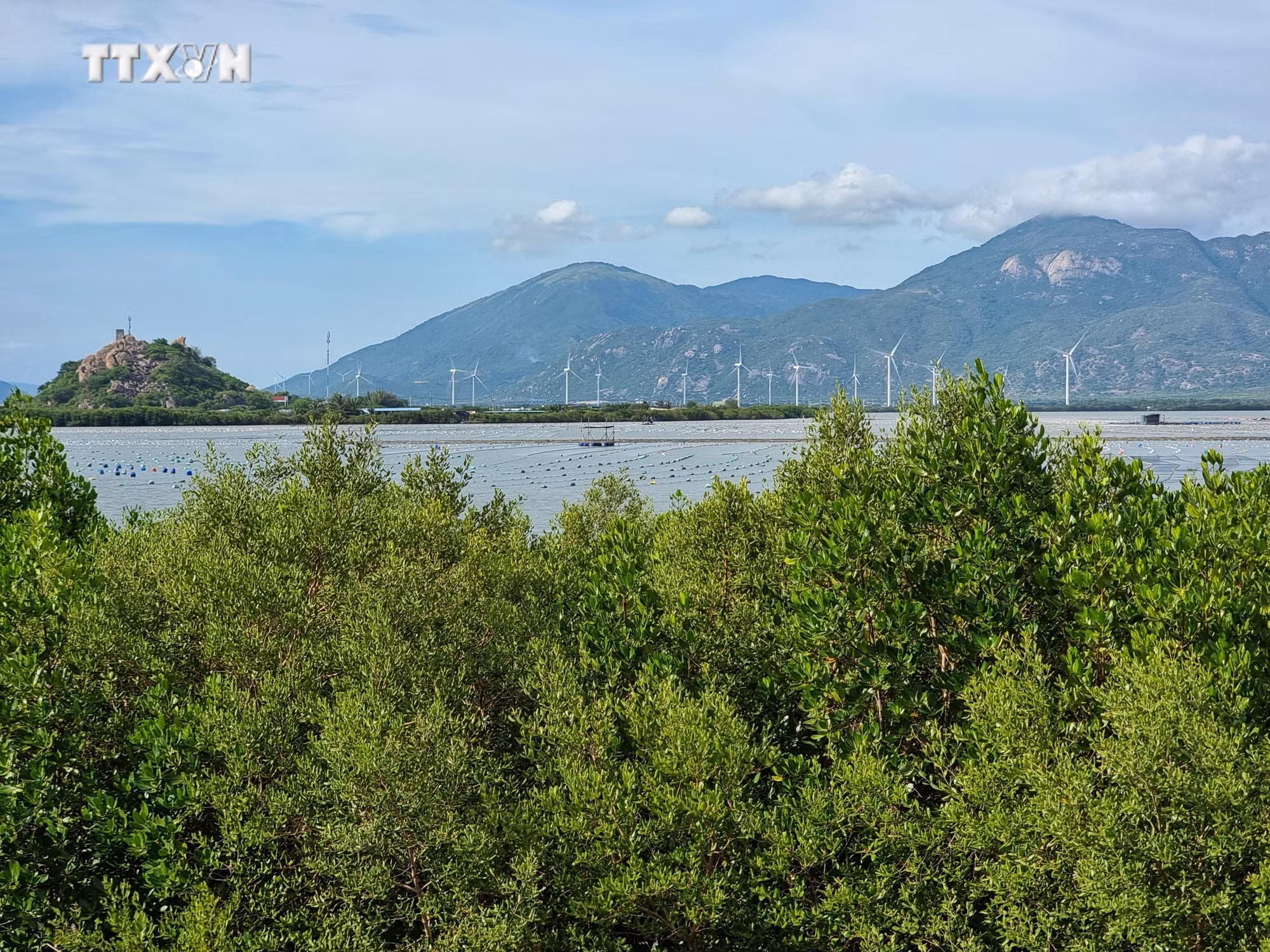 vna_potal_ninh_thuan_trien_khai_nhieu_giai_phap_de_thich_ung_bien_doi_khi_hau_7600132.jpg