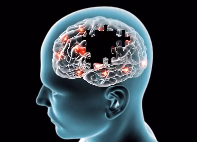 Phát hiện gene, cần thiết cho sự phát triển, của não bộ. Ảnh : tuoi tre.vn 