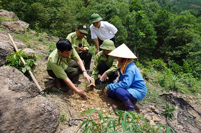 Cán bộ Chi cục Kiểm lâm tỉnh Thái Nguyên hướng dẫn người dân kỹ thuật trồng rừng. Nguồn: nhandan.vn 