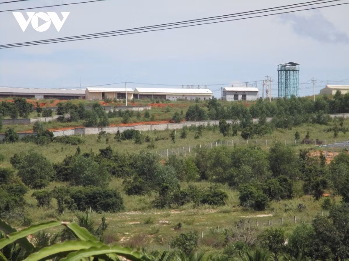 Trang trại heo nằm trên đồi cao.Nguồn: vov.vn