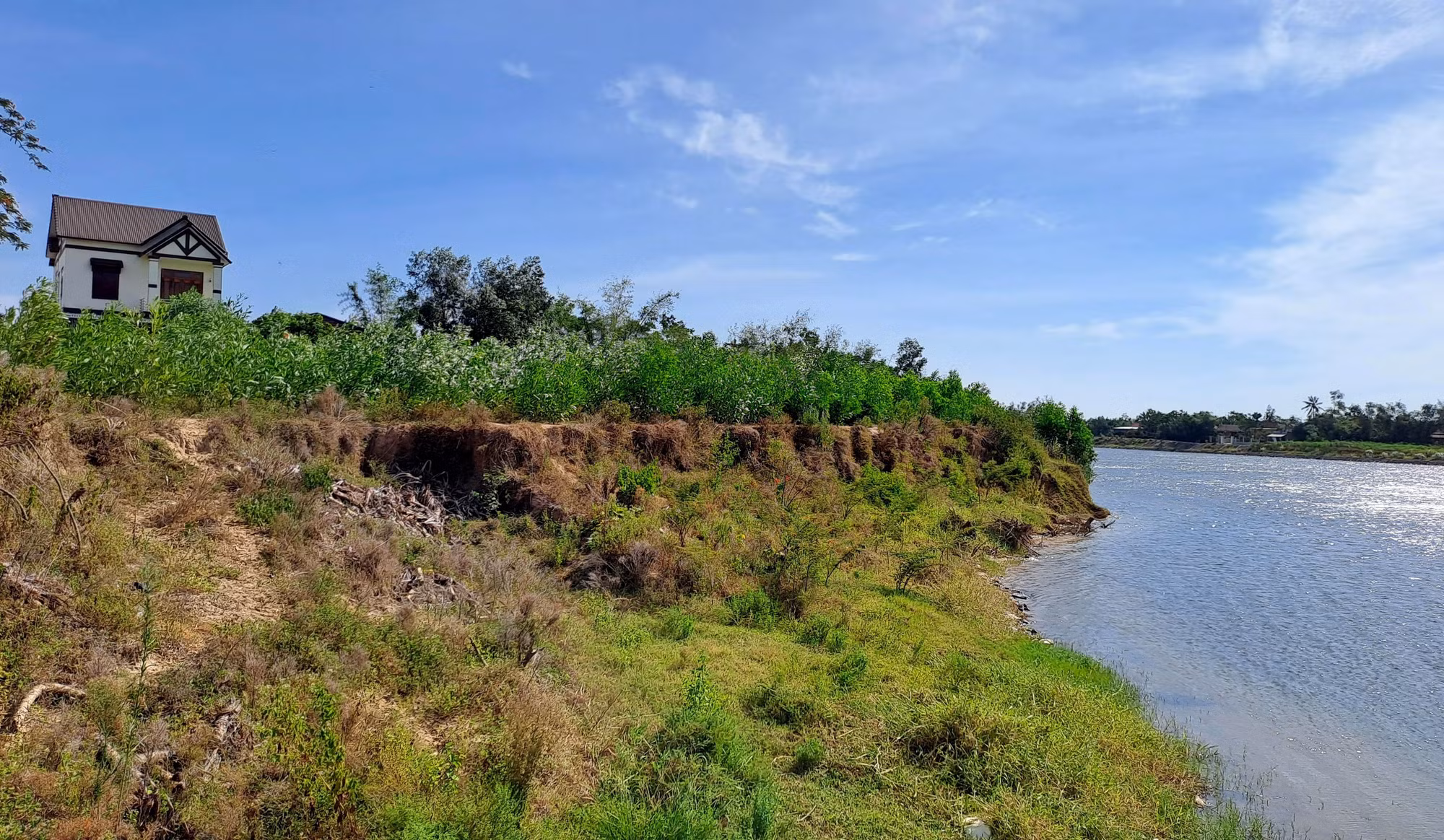 Bờ sông Thạch Hãn đoạn qua xã Triệu Giang, huyện Triệu Phong (Quảng Trị) bị sạt lở nghiêm trọng lấn sâu vào đất sản xuất của người dân. Ảnh: Nguyên Lý - TTXVN