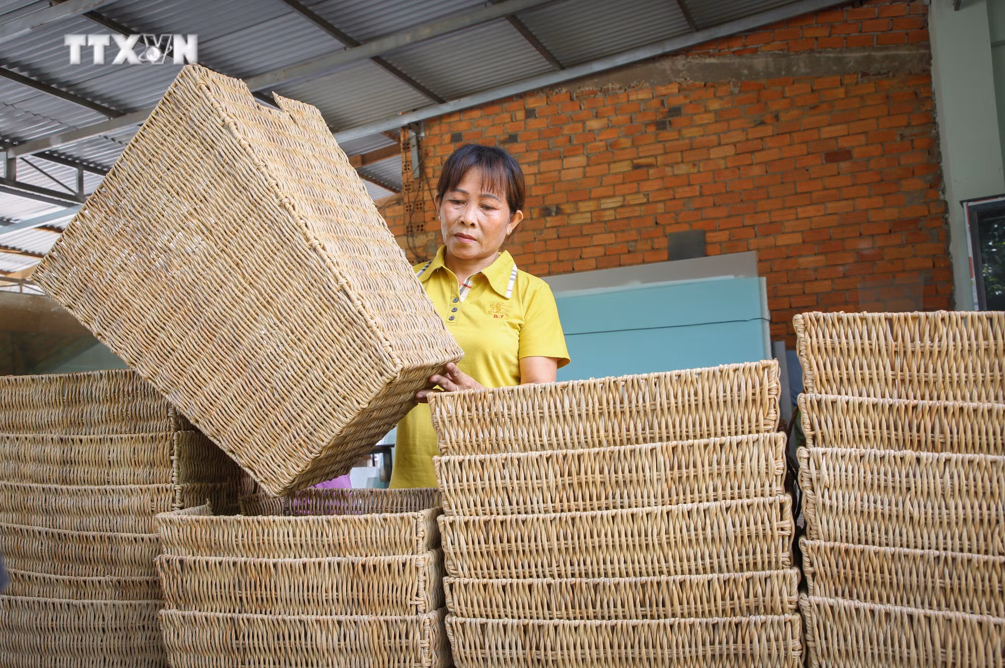 vna_potal_mang_sinh_ke_ho_tro_nguoi_ngheo_o_vung_bien_gioi_tay_ninh_7487876.jpg