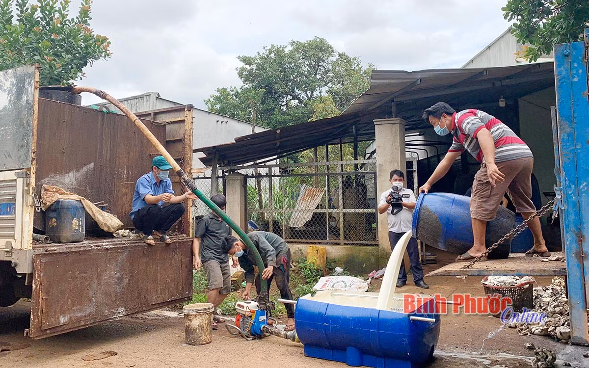 Tại ấp Thuận Hải, xã Thuận Phú, huyện Đồng Phú, người dân đang sử dụng máy bơm của anh Nguyễn Văn Lĩnh để hút mủ cao su đưa lên xe bồn. Nguồn : baobinhphuoc.com.vn