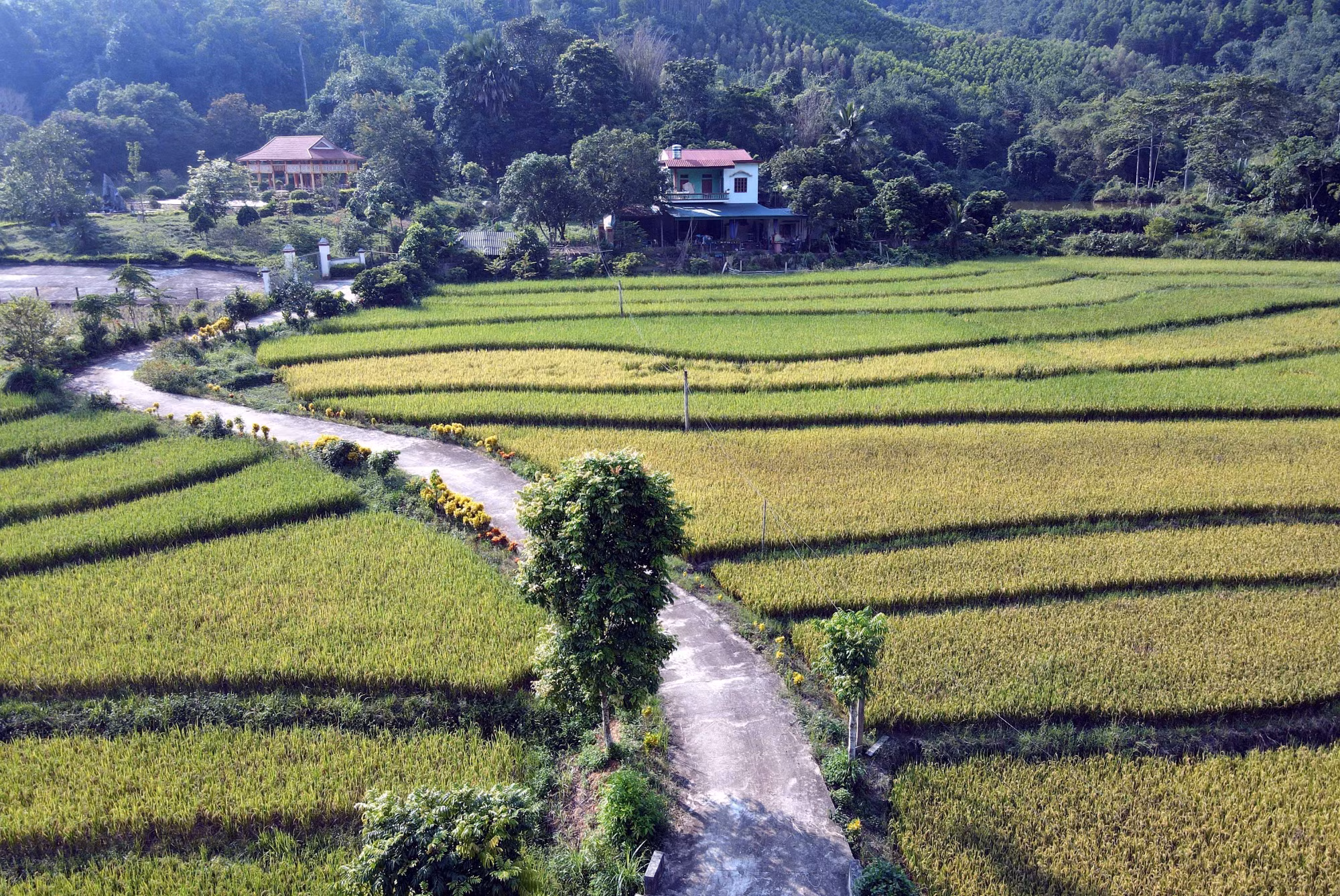 Đổi thay ở xã nông thôn mới kiểu mẫu đầu tiên tại Tuyên Quang