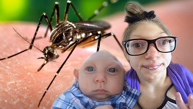 Muỗi Aedes là vật trung gian truyền bệnh.Ảnh : medlatec.vn