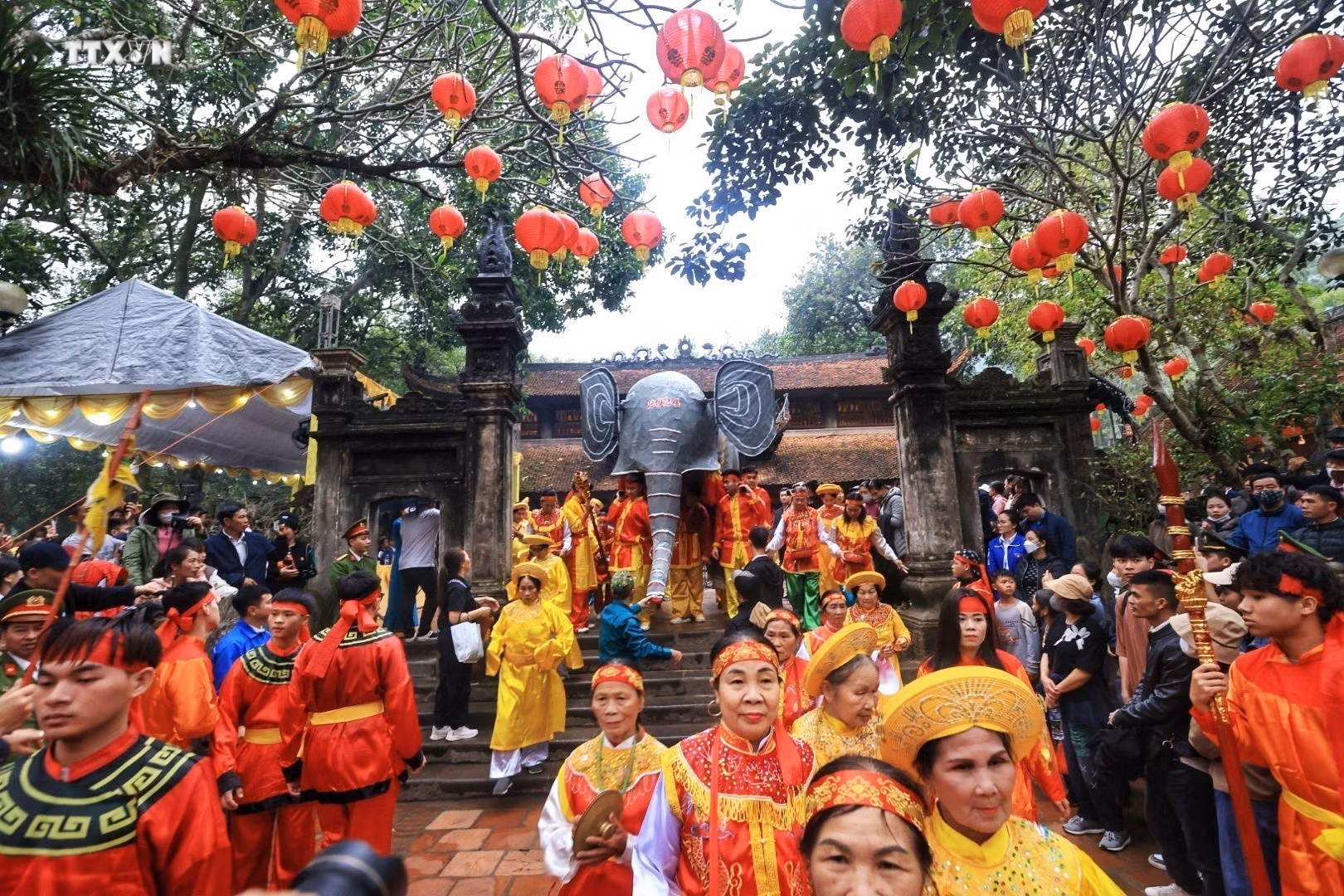vna_potal_khai_hoi_giong_den_soc_2024_7225740.jpeg
