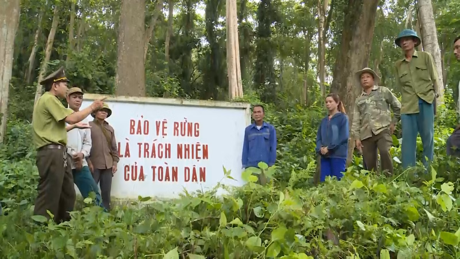 Tăng cường công tác quản lý, bảo vệ và phát triển rừng