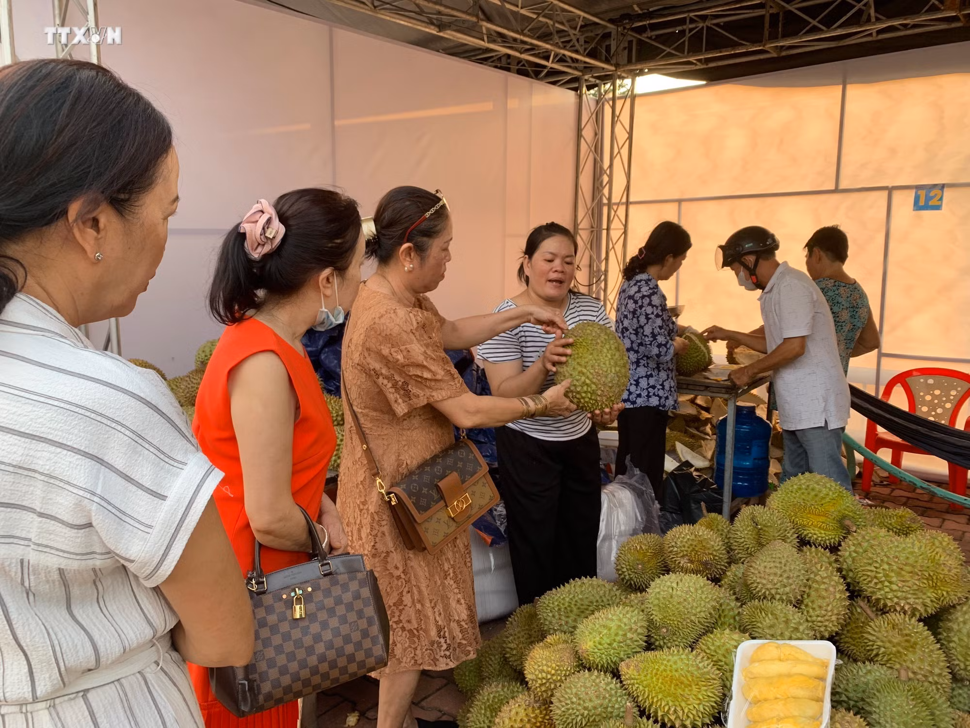 vna_potal_khai_mac_le_hoi_mua_trai_chin_2024_voi_chu_de_“lai_thieu_mua_hen”_7432783.jpg