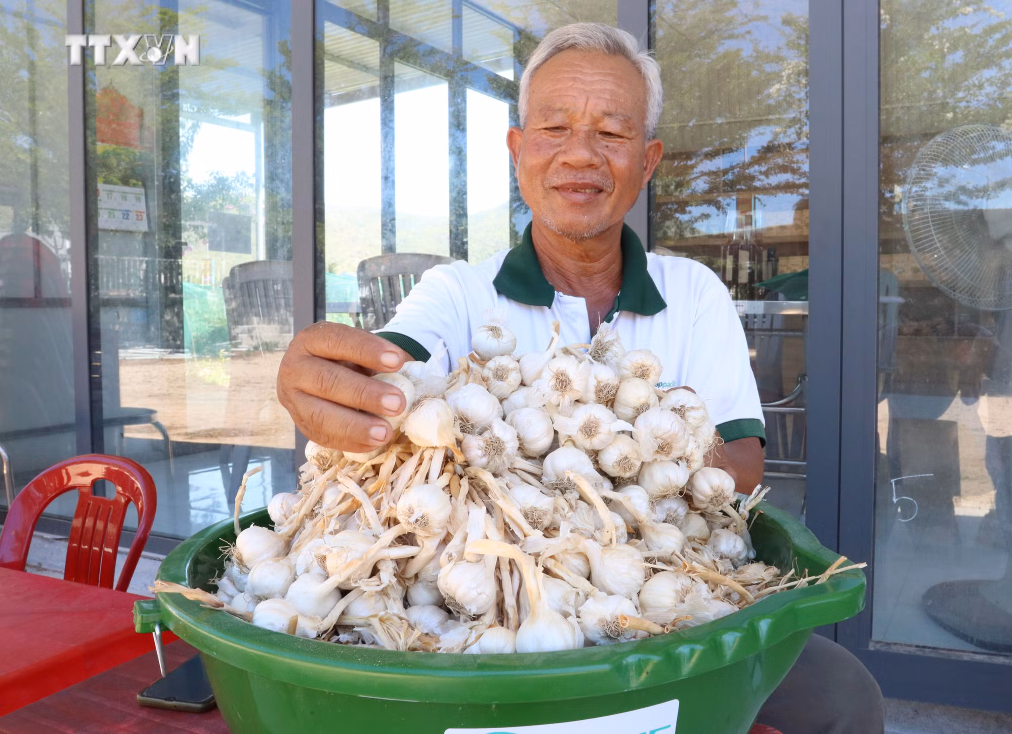 vna_potal_ninh_thuan_tuyen_chon_va_phuc_trang_thanh_cong_giong_toi_phan_rang_6907116.jpg