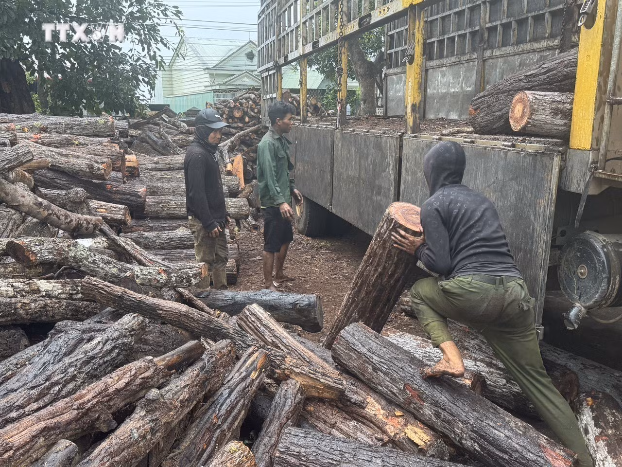 vna_potal_bao_dong_tinh_trang_pha_rung_tai_xa_bien_gioi_ia_mo_gia_lai_7657501.jpg