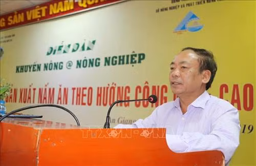 Chia sẻ kinh nghiệm sản xuất nấm theo hướng công nghệ cao
