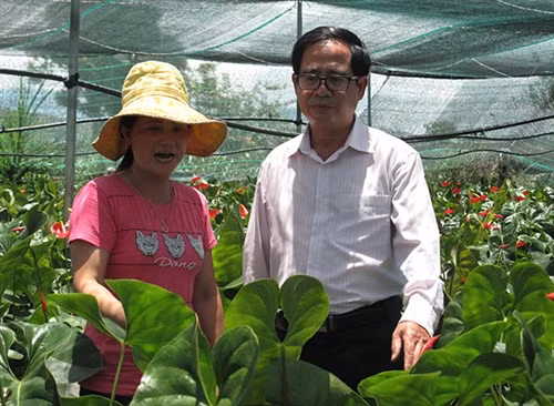 Lâm Hà: Hướng phát triển vào sản xuất nông nghiệp