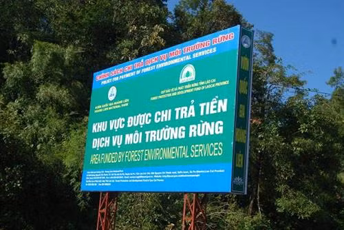 Giải quyết vướng mắc trong chi trả tiền dịch vụ môi trường rừng qua tài khoản