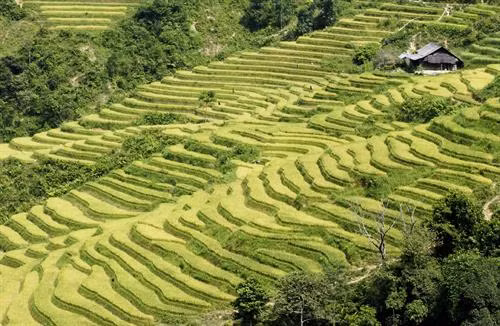 Các tour du lịch ngắn ngày thu hút du khách dịp nghỉ Tết dương lịch 2018