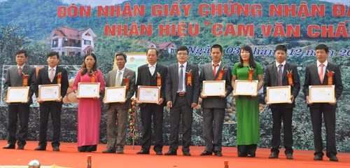 Yên Bái: Công bố Giấy chứng nhận nhãn hiệu “ Cam Văn Chấn”