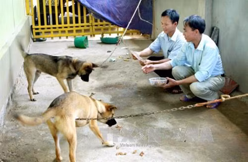 Người dân không nên chủ quan với bệnh dại