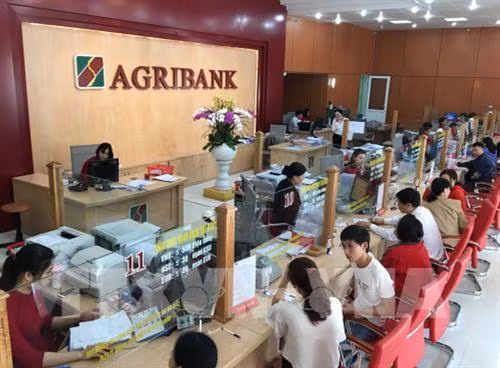Dịch COVID-19: Agribank tăng mức hỗ trợ với gói tín dụng 100.000 tỷ đồng