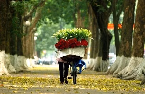 Thời tiết ngày 21/3: Miền Bắc độ ẩm thấp, Tây Nguyên và Nam Bộ đề phòng thời tiết nguy hiểm