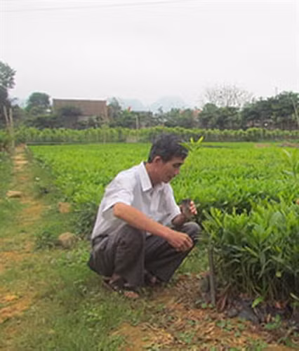 Làm giàu trên đỉnh Trường Sơn