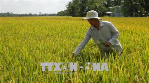 Cán bộ đoàn Nguyễn Quốc Phong lan tỏa tinh thần năng động trong thanh niên nông thôn