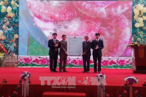Hòa Bình nhận bằng bảo hộ nhãn hiệu tập thể “Bưởi đỏ Tân Lạc”