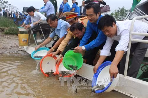 Tham vấn quốc gia về các quy định đồng quản lý trong bảo vệ nguồn lợi thuỷ sản