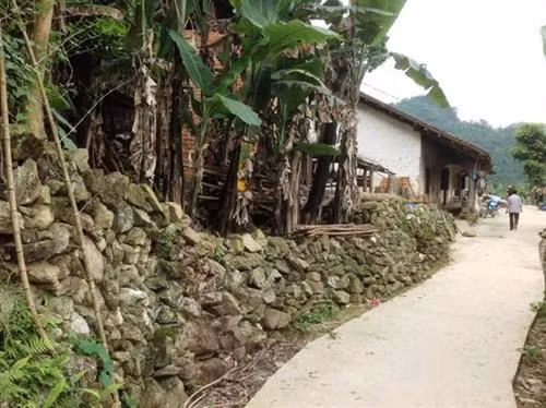 Nhà trình tường của người Dao Tiền