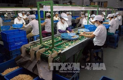 Giải pháp giúp nông sản Việt Nam vượt qua hàng rào kỹ thuật xuất khẩu