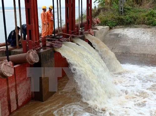 Ngành điện chủ động ứng phó với bão số 12