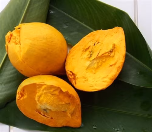 Ngọt bùi lê ki ma 