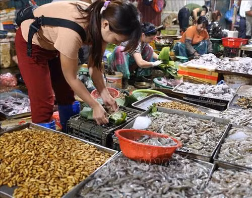 Nói không với rác thải nhựa: Nhân rộng mô hình và các giải pháp loại bỏ sản phẩm nhựa