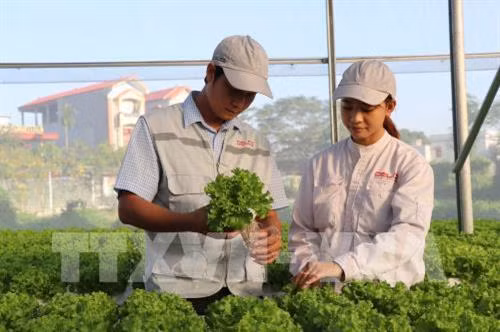 Bắc Giang ứng dụng tiến bộ khoa học công nghệ vào sản xuất nông nghiệp
