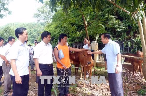 Tuyên Quang hỗ trợ các hộ đồng bào dân tộc thiểu số thoát nghèo bền vững