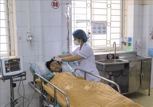 Điện Biên: Một người chết, một người nguy kịch do ăn nấm độc