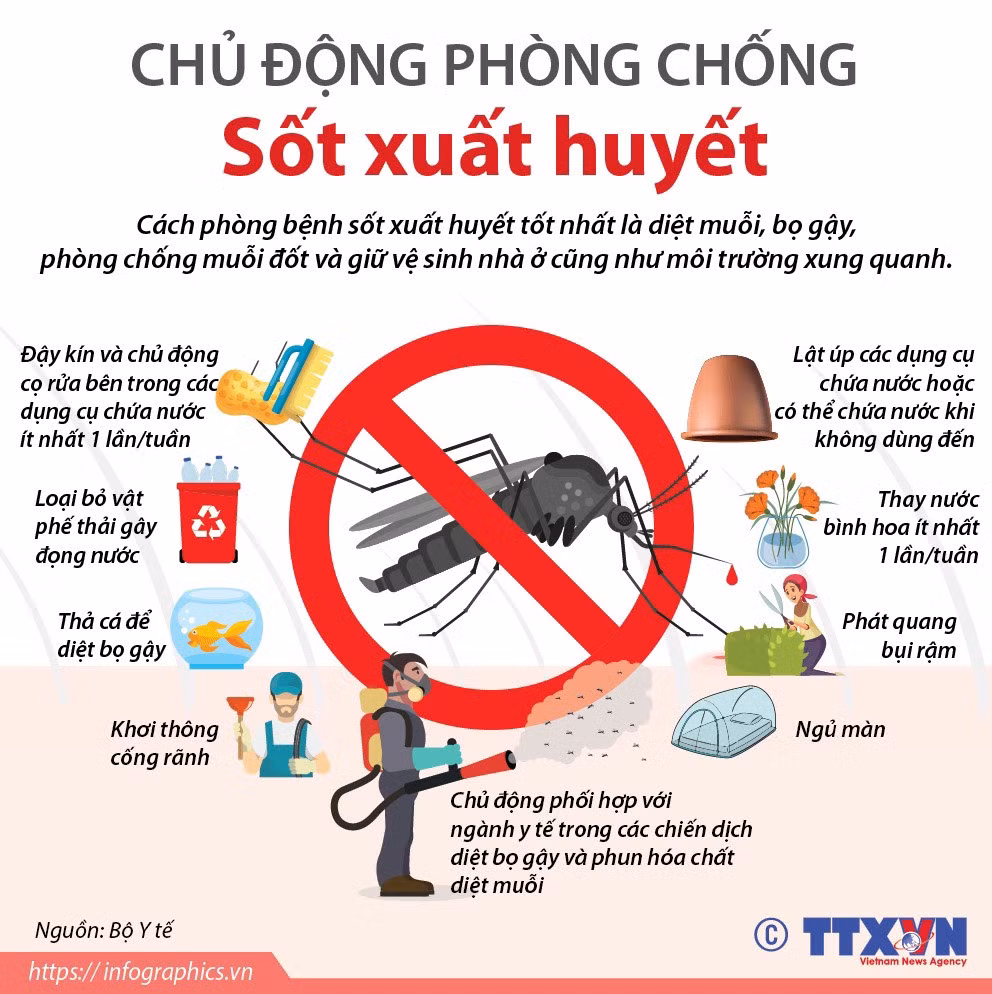 Gia Lai: Chủ động các biện pháp phòng, chống sốt xuất huyết ảnh 1