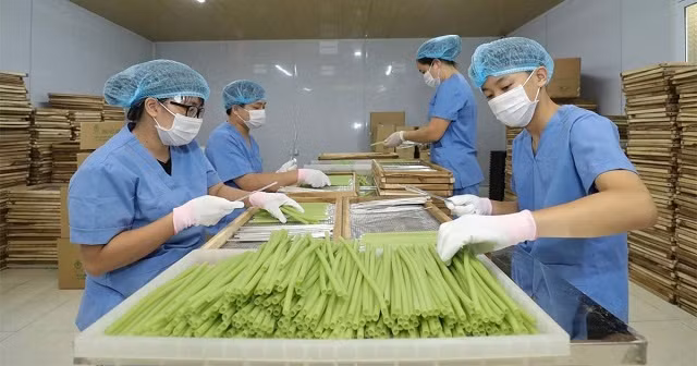 Phát huy thế mạnh kinh tế tập thể (Bài 1)