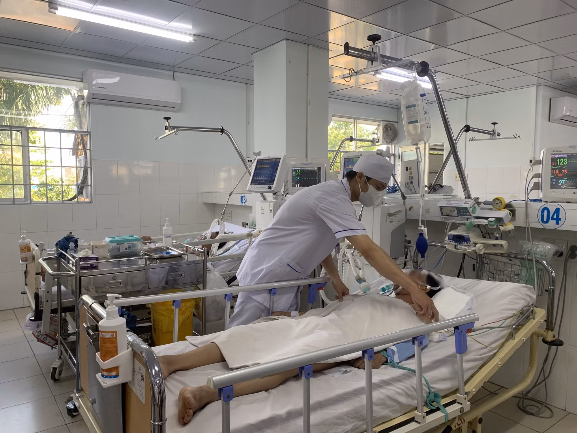 Cảnh báo ngộ độc do ăn nhầm con so biển