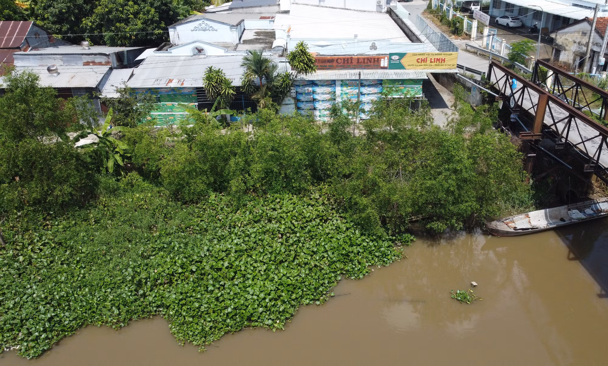 “Kè xanh”giữ đất, phòng sạt lở hiệu quả