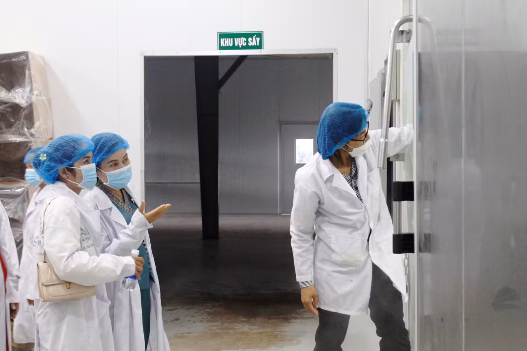 Một doanh nghiệp chế biến nông sản trên địa bàn TP. Buôn Ma Thuột ứng dụng công nghệ vào quá trình chế biến trái cây sấy. Ảnh: baodaklak.vn