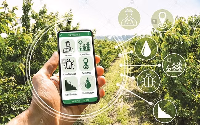 Bắc Giang xây dựng nông thôn mới gắn với chuyển đổi số