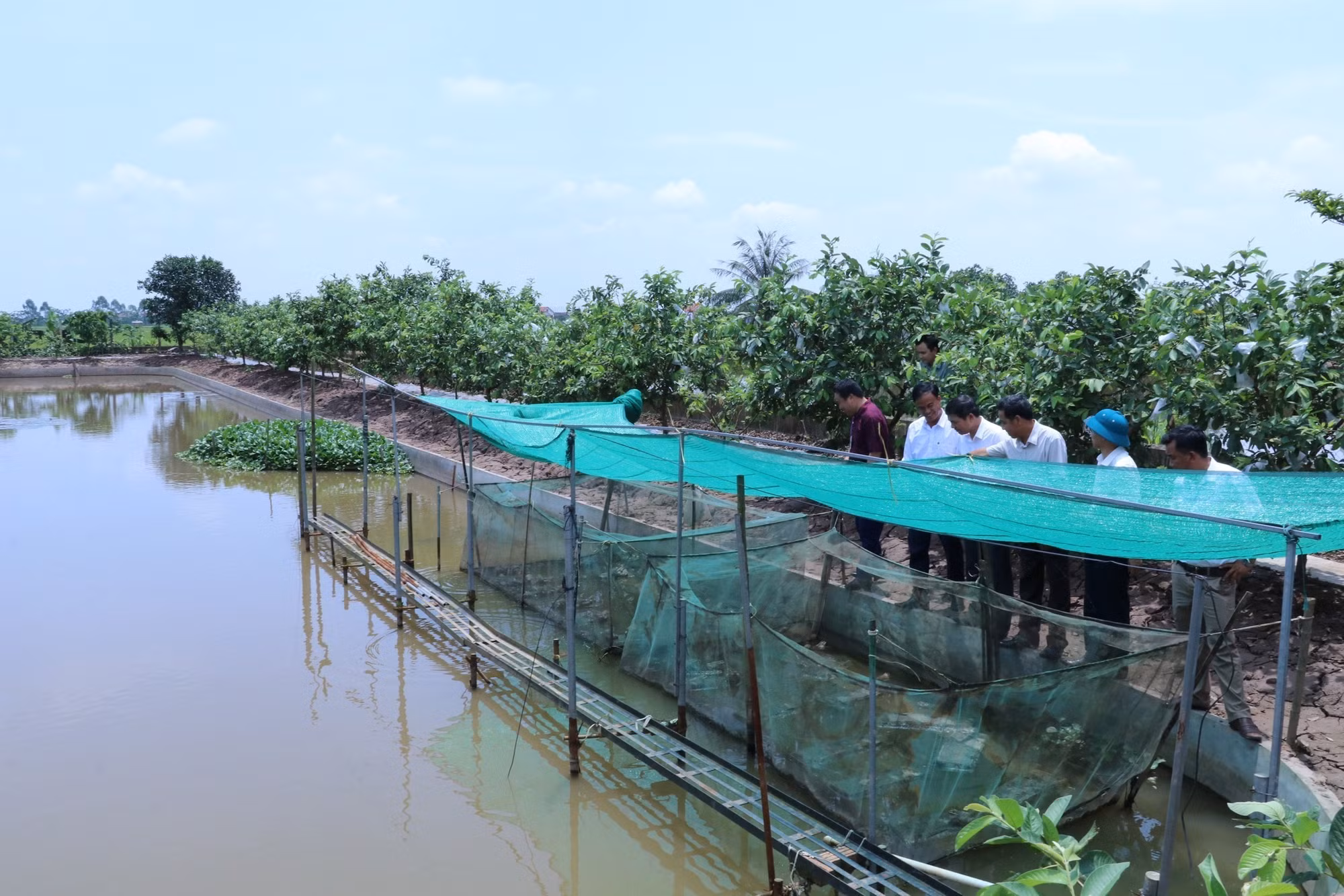 Mô hình “Phân loại và xử lý rác thải bằng men vi sinh bản địa” tại xã Khánh Thành, huyện Yên Khánh (Ninh Bình). Ảnh: Đức Phương – TTXVN
