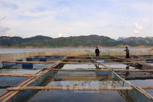 Ổn định dân cư, phát triển kinh tế - xã hội vùng tái định cư Thủy điện Sơn La